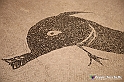 VBS_8971 - Mostra Invito a Pompei